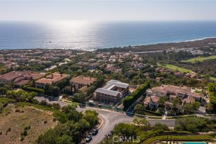 Single Family Residence, 19 Del Mar, Newport Coast, CA 92657 - 41
