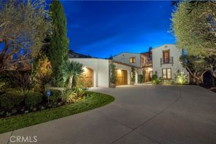Single Family Residence, 52 Twilight Bluff, Newport Coast, CA 92657 - 3