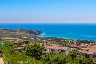 Single Family Residence, 37 Offshore, Newport Coast, CA 92657 - 21