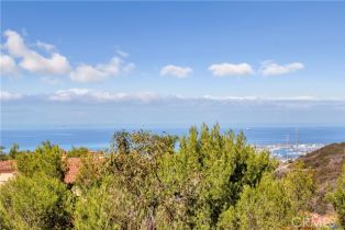 Condominium, 1 Savona ct, Newport Coast, CA 92657 - 30