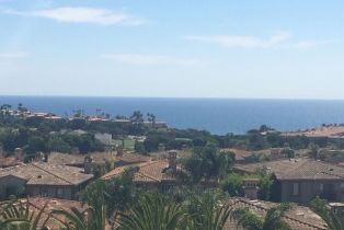 Condominium, 60 Corniche dr, Dana Point, CA 92629 - 25