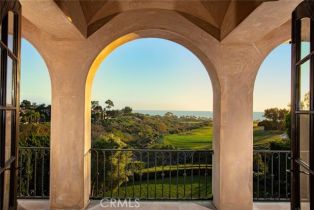 Single Family Residence, 6 Premiere Point, Newport Coast, CA 92657 - 19