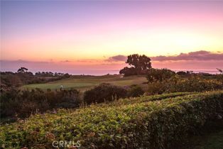 Single Family Residence, 6 Premiere Point, Newport Coast, CA 92657 - 25