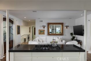 Single Family Residence, 230 High dr, Laguna Beach, CA 92651 - 10