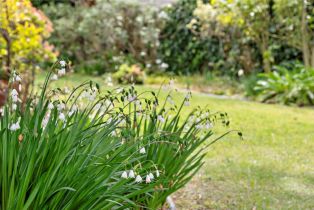 Single Family Residence, 308 Windward ave, Venice, CA 90291 - 22