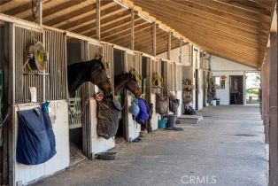 Single Family Residence, 6352 Nohl Ranch rd, Anaheim Hills, CA 92807 - 7