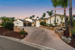 Single Family Residence, 22883 Calcutta dr, Canyon Lake, CA 92587 - 3