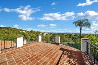 Single Family Residence, 20 Castellina dr, Newport Coast, CA 92657 - 43