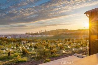 Single Family Residence, 100 Knob, Irvine, CA 92602 - 9