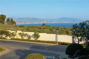 Single Family Residence, 17 Pacific Ridge pl, Dana Point, CA 92629 - 37