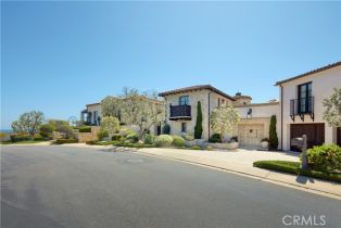 Single Family Residence, 17 Pacific Ridge pl, Dana Point, CA 92629 - 46