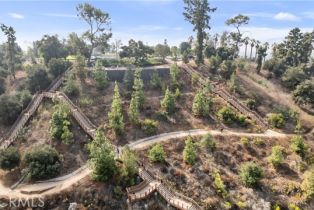 Condominium, 1354 Shadow ln, Fullerton, CA 92831 - 35