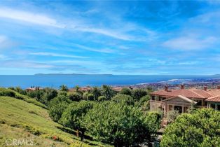 Single Family Residence, 12 Skyridge, Newport Coast, CA 92657 - 19