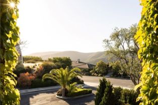 Single Family Residence, 1302 Skyline dr, Laguna Beach, CA 92651 - 49