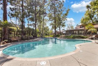 Single Family Residence, 6587 Via Fresco, Anaheim Hills, CA 92807 - 24
