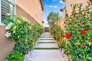 Single Family Residence, 8967 Sunshine Valley way, Corona, CA 92883 - 33