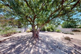 Single Family Residence, 32398 Corte San Vincente, Temecula, CA 92592 - 6