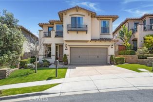 Residential Lease, 33521 Sea Bright DR, Dana Point, CA  Dana Point, CA 92629