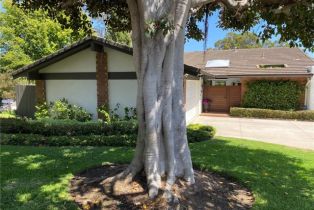 Condominium, 1951 Vista Caudal, Newport Beach, CA 92660 - 2