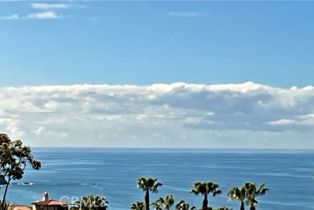 Single Family Residence, 14 Twilight Bluff, Newport Coast, CA 92657 - 24