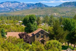 Single Family Residence, 36958 Goldshot Creek RD, Mountain Center, CA  Mountain Center, CA 92561