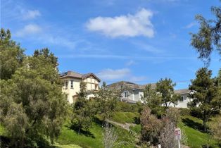 Single Family Residence, 47 Bedstraw loop, Ladera Ranch, CA 92694 - 39