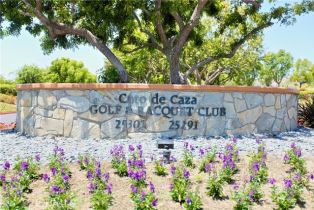 Single Family Residence, 4 Wellesley ct, Coto De Caza, CA 92679 - 20