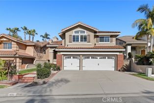 Single Family Residence, 976 Creekview ln, Anaheim Hills, CA 92808 - 3
