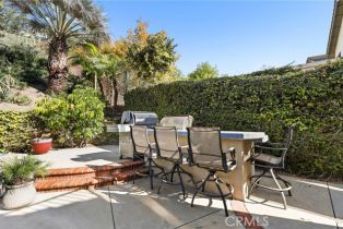 Single Family Residence, 976 Creekview ln, Anaheim Hills, CA 92808 - 53
