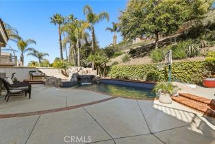 Single Family Residence, 976 Creekview ln, Anaheim Hills, CA 92808 - 54