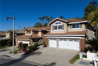 Single Family Residence, 976 Creekview ln, Anaheim Hills, CA 92808 - 62