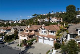 Single Family Residence, 976 Creekview ln, Anaheim Hills, CA 92808 - 63