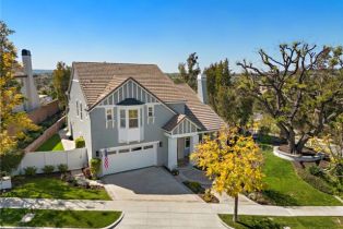 Single Family Residence, 33 Langford ln, Ladera Ranch, CA 92694 - 52