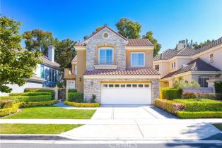 Single Family Residence, 29 Lyon, Newport Coast, CA  Newport Coast, CA 92657