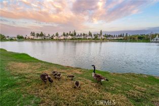 Single Family Residence, 8 Sandpiper, Irvine, CA 92604 - 27