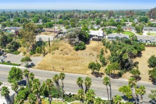 , 1555 North Harbor, Fullerton, CA 92835 - 6