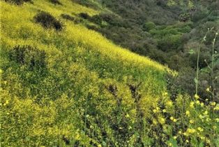 , 0 El Levante, San Clemente, CA 92672 - 5