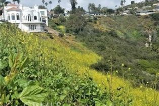 Land, 0 El Levante, San Clemente, CA  San Clemente, CA 92672