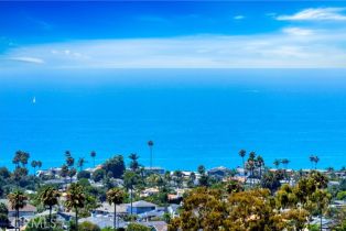 Single Family Residence, 1801 Calle Leticia, San Clemente, CA 92672 - 44