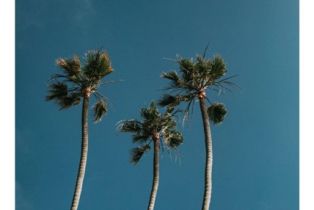 , 217 Vista Marina, San Clemente, CA 92672 - 10