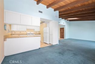 Residential Income, 1519 Calle Sacramento, San Clemente, CA 92672 - 11