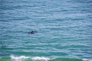 Single Family Residence, 328 Boca Del Canon, San Clemente, CA 92672 - 52