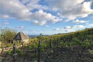 Single Family Residence, 31541 Peppertree Bend, San Juan Capistrano, CA 92675 - 69