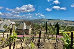 Single Family Residence, 31541 Peppertree Bend, San Juan Capistrano, CA 92675 - 70