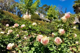 Single Family Residence, 31541 Peppertree Bend, San Juan Capistrano, CA 92675 - 71