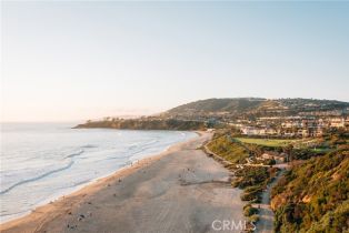 Single Family Residence, 32602 Crete rd, Dana Point, CA 92629 - 42