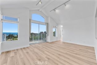 Single Family Residence, 34152 Cambridge rd, Dana Point, CA 92629 - 10