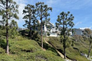 Condominium, 24666 Morning Star ln, Dana Point, CA 92629 - 43