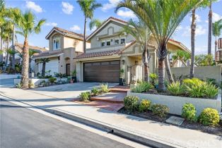 Single Family Residence, 85 Palm Beach ct, Dana Point, CA 92629 - 31