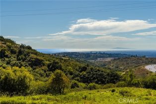 Condominium, 34 Talmont, Newport Coast, CA 92657 - 49